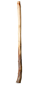Heartland Didgeridoo (HD491)